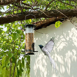 Window Bird Feeder Outdoor Gardening Transparent Wild Bird Feeder Automatic Bird Seed Food Dispenser Feeder Accessories
